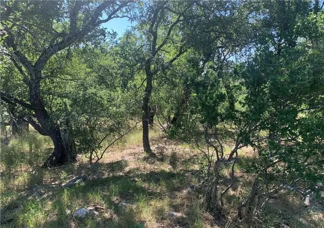 Photo 1 of Land for sale at 702 Deep Shadows Dr, Marble Falls, TX 78657 | MLS# 1019850 | Listing updated on 2026-09-25