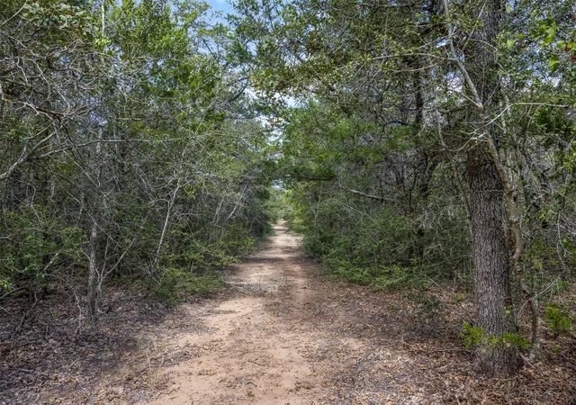 Photo 3 of Land for sale at 2025 Mule Crk Rd, Harwood, TX 78632 | MLS# 3963450 | Listing updated on 2026-10-09