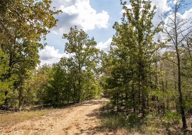 Photo 2 of Land for sale at Fm 180, Ledbetter, TX 78946 | MLS# 3590397 | Listing updated on 2026-09-29