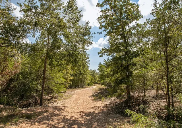 Photo 3 of Land for sale at Fm 180, Ledbetter, TX 78946 | MLS# 3590397 | Listing updated on 2026-09-29