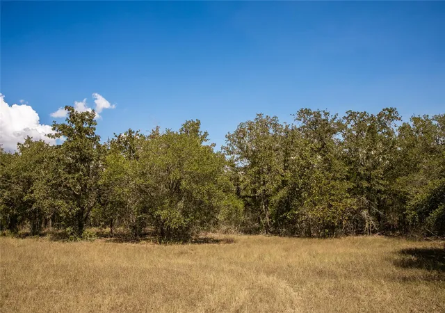 Photo 4 of Land for sale at Fm 180, Ledbetter, TX 78946 | MLS# 3590397 | Listing updated on 2026-09-29