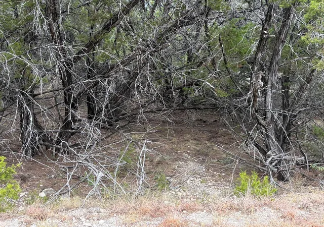 Photo 4 of Land for sale at 3600 Stillwood Ln, Lago Vista, TX 78645 | MLS# 9019017 | Listing updated on 2026-10-01