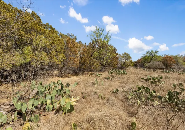 Photo 4 of Land for sale at 21606 Cardinal Ave, Leander, TX 78645 | MLS# 5110207 | Listing updated on 2026-09-26