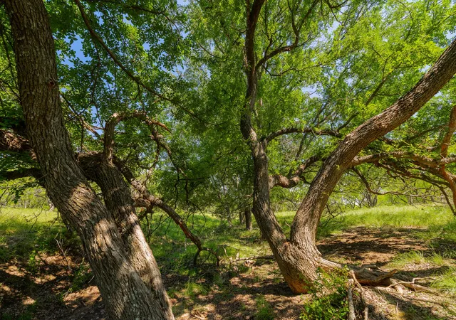 Photo 1 of Land for sale at Tbd Twin Draw County Rd 180, Purmela, TX 76566 | MLS# 9066727 | Listing updated on 2026-09-28