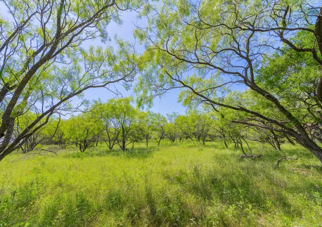 Photo 3 of House for sale at Tbd Twin Draw County Rd 180, Purmela, TX 76566 | MLS# 9066727 | Listing updated on 2026-09-28