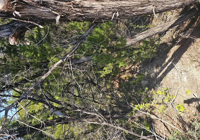 Photo 4 of Land for sale at 8027 Foothill Cv, Leander, TX 78645 | MLS# 4329854 | Listing updated on 2026-10-01