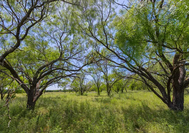 Photo 4 of House for sale at Tbd Hidden Pond Ranch County Rd 180, Purmela, TX 76566 | MLS# 6806777 | Listing updated on 2026-09-28