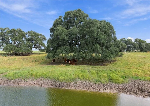 Photo 1 of Land for sale at 2561 Roitsch Rd, Schulenburg, TX 78956 | MLS# 3107782 | Listing updated on 2026-10-06