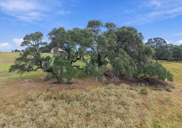 Photo 3 of House for sale at 2561 Roitsch Rd, Schulenburg, TX 78956 | MLS# 3107782 | Listing updated on 2026-10-06