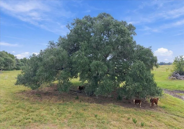 Photo 4 of House for sale at 2561 Roitsch Rd, Schulenburg, TX 78956 | MLS# 3107782 | Listing updated on 2026-10-06
