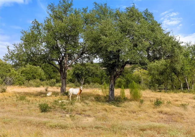 Land for sale at 136 Legacy Hills Dr, Johnson City, TX 78636 | MLS# 3251137