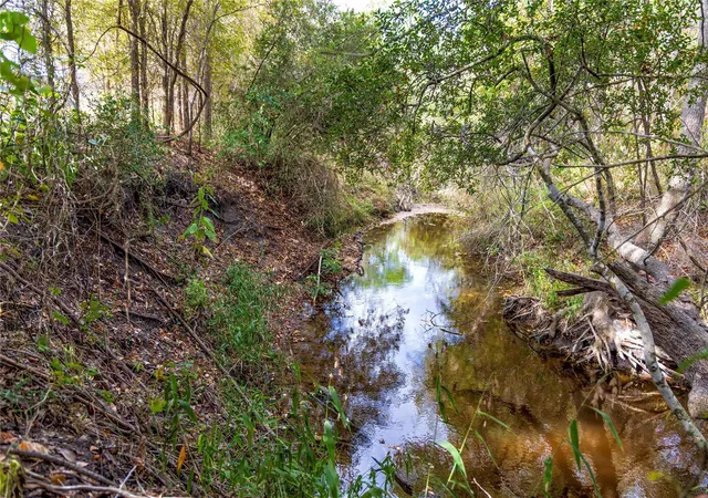Photo 2 of Land for sale at Tbd Ladewig, Schulenburg, TX 78956 | MLS# 5501460 | Listing updated on 2026-09-29