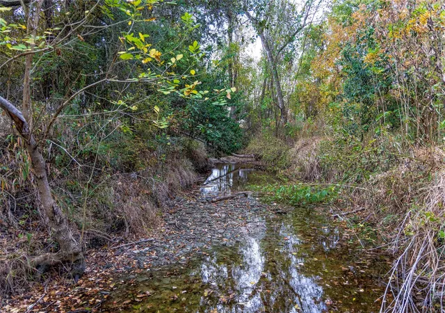 Photo 3 of Land for sale at Tbd Ladewig, Schulenburg, TX 78956 | MLS# 5501460 | Listing updated on 2026-09-29
