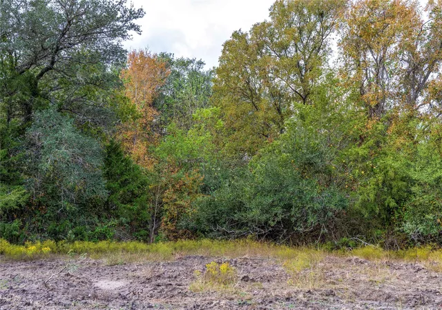 Photo 3 of House for sale at Tbd Ladewig, Schulenburg, TX 78956 | MLS# 5501460 | Listing updated on 2026-09-29