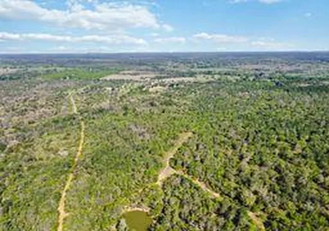 Photo 4 of Land for sale at Tbd High Grv Rd, Cedar Creek, TX 78612 | MLS# 8781695 | Listing updated on 2026-10-02