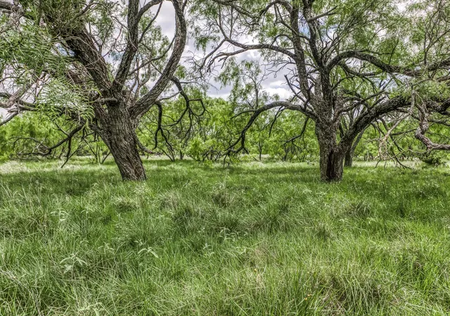 Photo 3 of House for sale at 00 County Rd 333, Goldthwaite, TX 76844 | MLS# 4439860 | Listing updated on 2026-09-30