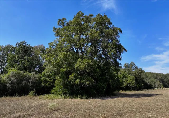 Photo 3 of Land for sale at Tbd Highway 71, Fayetteville, TX 78940 | MLS# 8430685 | Listing updated on 2026-09-30