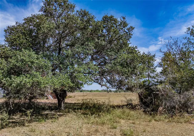 Photo 4 of House for sale at Tbd Highway 71, Fayetteville, TX 78940 | MLS# 8430685 | Listing updated on 2026-09-30