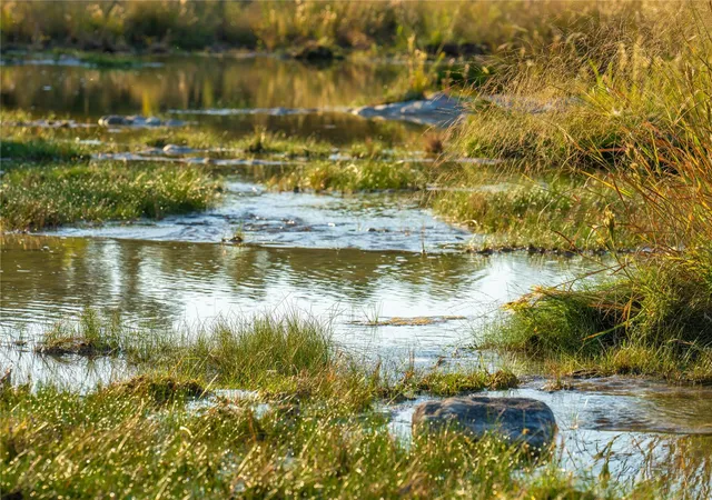 Land for sale at 1547 Pressler Rd, Fredericksburg, TX 78624 | MLS# 7173597