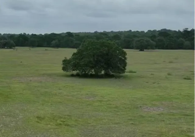 Photo 4 of Land for sale at Tbd Cr 127 Lot 1 Block 2 County Rd, Ledbetter, TX 78946 | MLS# 2154325 | Listing updated on 2026-10-02