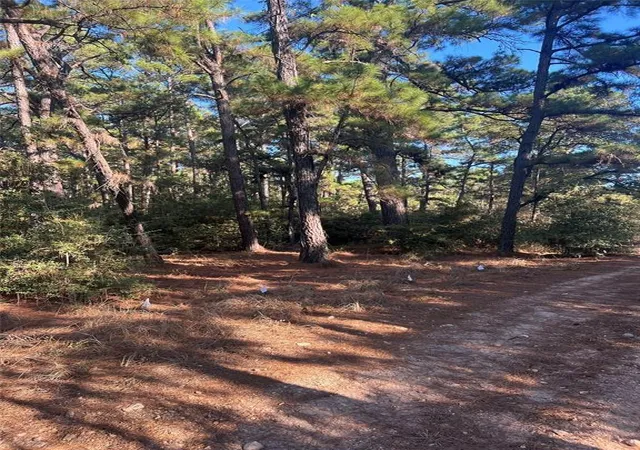 Land for sale at Lot 43 Pine Lodge Dr, Bastrop, TX 78602 | MLS# 5558700