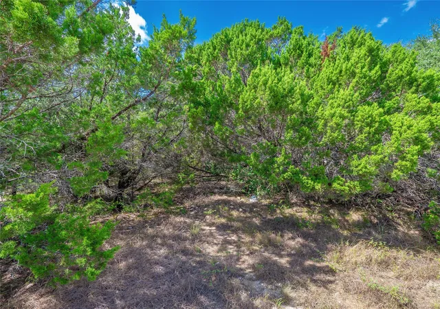 Photo 4 of Land for sale at 6206 La Mesa St, Lago Vista, TX 78645 | MLS# 5985713 | Listing updated on 2026-10-06