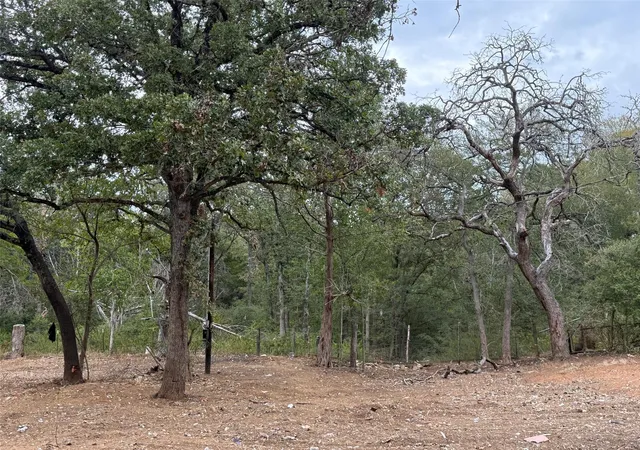 Photo 3 of Land for sale at 145 Ash St, Bastrop, TX 78602 | MLS# 9569605 | Listing updated on 2026-10-01