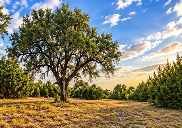 Land for sale at 208 Viento Cv, Blanco, TX 78606 | MLS# 5257640