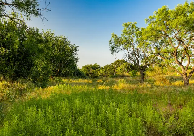 Photo 4 of House for sale at Tbd County Rd 102, Llano, TX 78643 | MLS# 4630662 | Listing updated on 2026-10-01