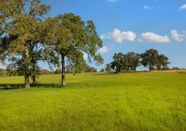 Photo 2 of Land for sale at Tbd Cr 302 Rd, Rockdale, TX 76567 | MLS# 6024845 | Listing updated on 2026-10-02