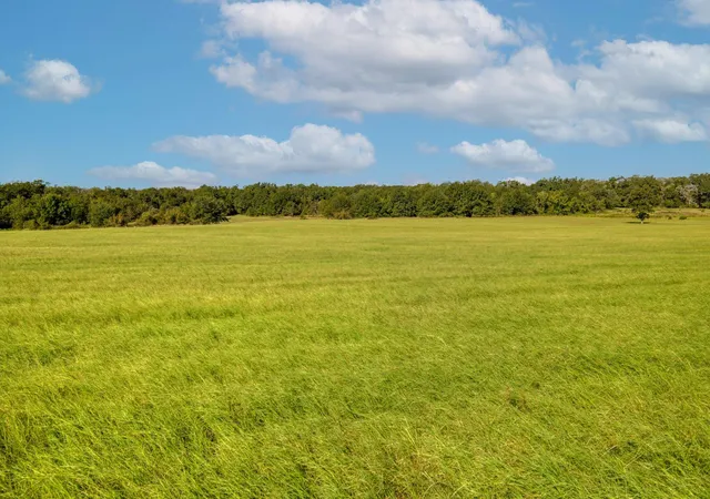 Photo 4 of Land for sale at Tbd Cr 302 Rd, Rockdale, TX 76567 | MLS# 6024845 | Listing updated on 2026-10-02