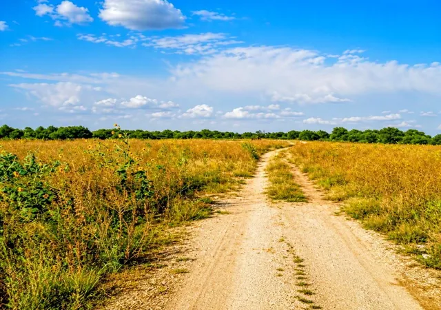Land for sale at 12230 Highway183 Hwy, Florence, TX 76527 | MLS# 2506182