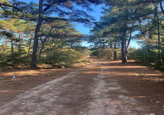 Land for sale at Tbd Pine Lodge Dr, Bastrop, TX 78602 | MLS# 5718068
