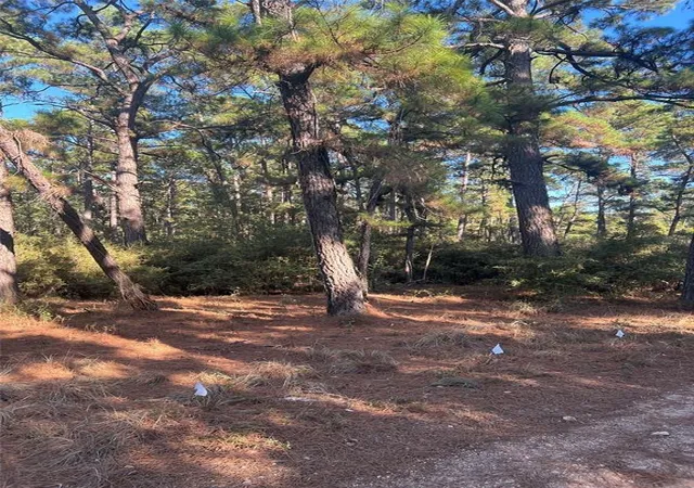 Photo 2 of Land for sale at Tbd Pine Lodge Dr, Bastrop, TX 78602 | MLS# 5718068 | Listing updated on 2026-10-02