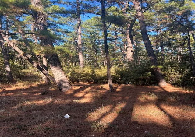 Photo 3 of Land for sale at Tbd Pine Lodge Dr, Bastrop, TX 78602 | MLS# 5718068 | Listing updated on 2026-10-08