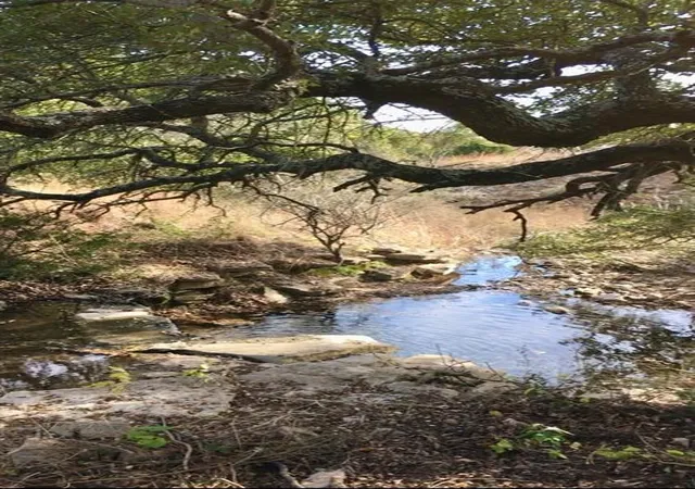 Photo 3 of Land for sale at 140 Indian Sky Ct, Bertram, TX 78605 | MLS# 5374028 | Listing updated on 2026-10-06