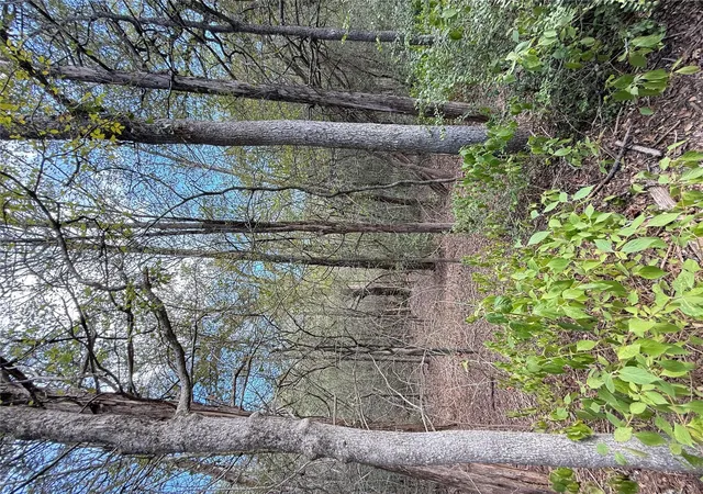 Land for sale at Tbd Hanauma, Bastrop, TX 78602 | MLS# 1437756