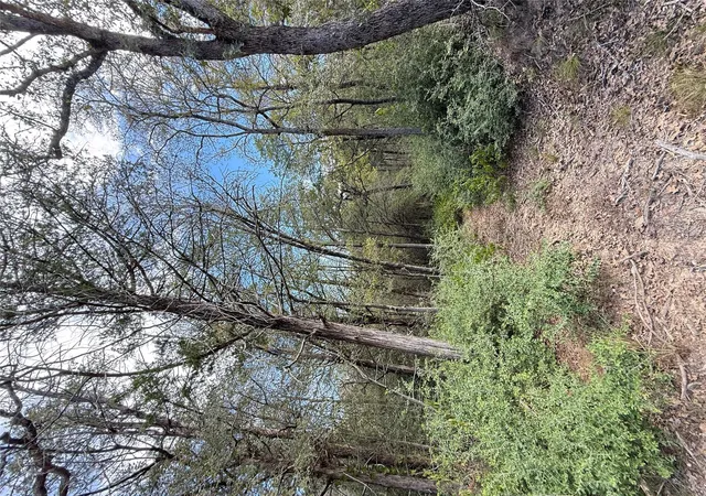 Photo 3 of Land for sale at Tbd Hanauma, Bastrop, TX 78602 | MLS# 1437756 | Listing updated on 2026-10-10