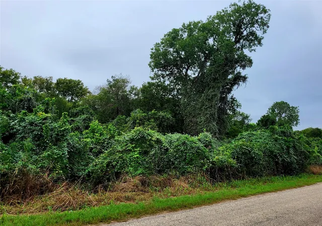Photo 2 of Land for sale at 446 Riverside Dr, Bastrop, TX 78602 | MLS# 3544525 | Listing updated on 2026-10-06