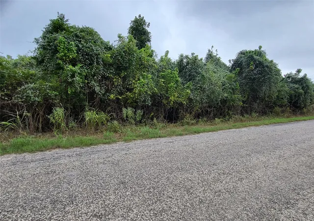 Photo 3 of Land for sale at 446 Riverside Dr, Bastrop, TX 78602 | MLS# 3544525 | Listing updated on 2026-10-06