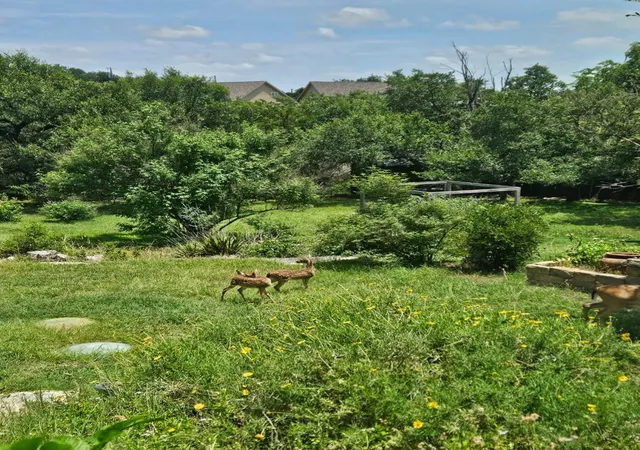 Single family home for sale at 10210 Twin Lake Loop, Dripping Springs, TX 78620 | MLS# 7324351