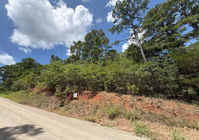 Land for sale at 120 Molokini Dr, Bastrop, TX 78602 | MLS# 9966900