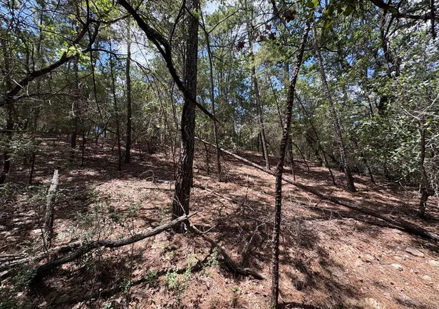 Photo 3 of Land for sale at 120 Molokini Dr, Bastrop, TX 78602 | MLS# 9966900 | Listing updated on 2026-10-07