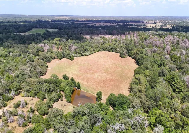 Photo 2 of Land for sale at Tbd St Delight Rd (tracts 8 & 13), Paige, TX 78659 | MLS# 2929097 | Listing updated on 2026-10-08