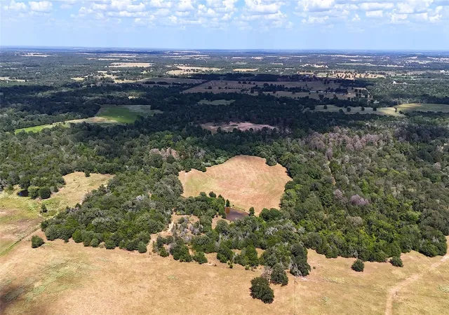 Photo 3 of Land for sale at Tbd St Delight Rd (tracts 8 & 13), Paige, TX 78659 | MLS# 2929097 | Listing updated on 2026-10-08