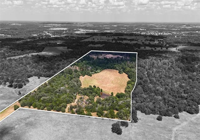 Photo 3 of House for sale at Tbd St Delight Rd (tracts 8 & 13), Paige, TX 78659 | MLS# 2929097 | Listing updated on 2026-10-08