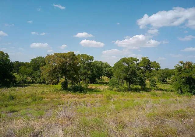 Land for sale at 101 Scotty Ln, Liberty Hill, TX 78642 | MLS# 6958173
