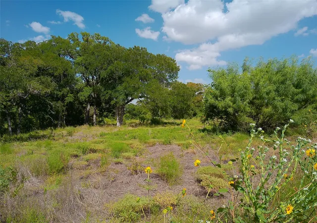 Photo 2 of Land for sale at 101 Scotty Ln, Liberty Hill, TX 78642 | MLS# 6958173 | Listing updated on 2026-10-07