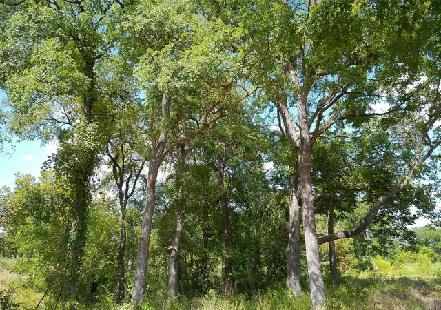 Photo 4 of Land for sale at 101 Scotty Ln, Liberty Hill, TX 78642 | MLS# 6958173 | Listing updated on 2026-10-07