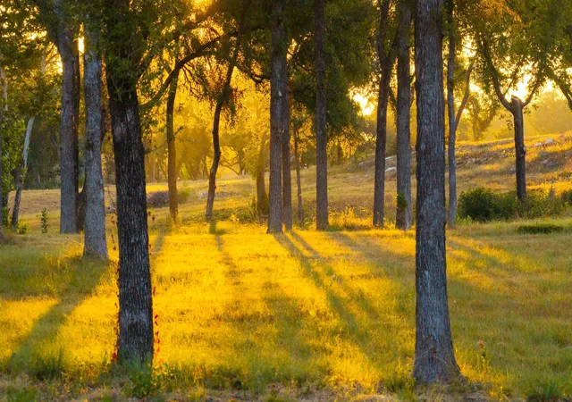 Photo 3 of Land for sale at 911 Cr209b, Briggs, TX 78605 | MLS# 4138688 | Listing updated on 2026-10-09